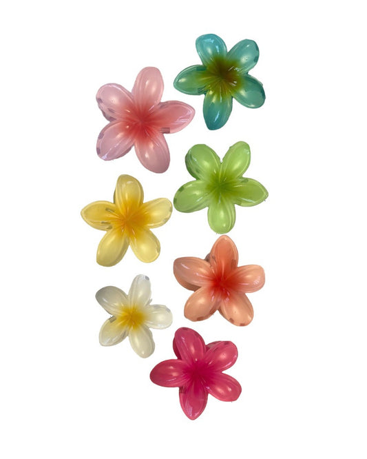 Hawaïan Flower Clip